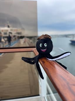 FMC - Plüschkrake – Bild 5