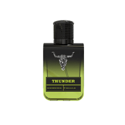 W:O:A - Parfüm - Thunder – Bild 2