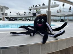 FMC - Plüschkrake – Bild 3