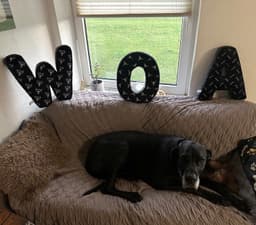 W:O:A - Buchstabenkissen - 3er Set – Bild 6